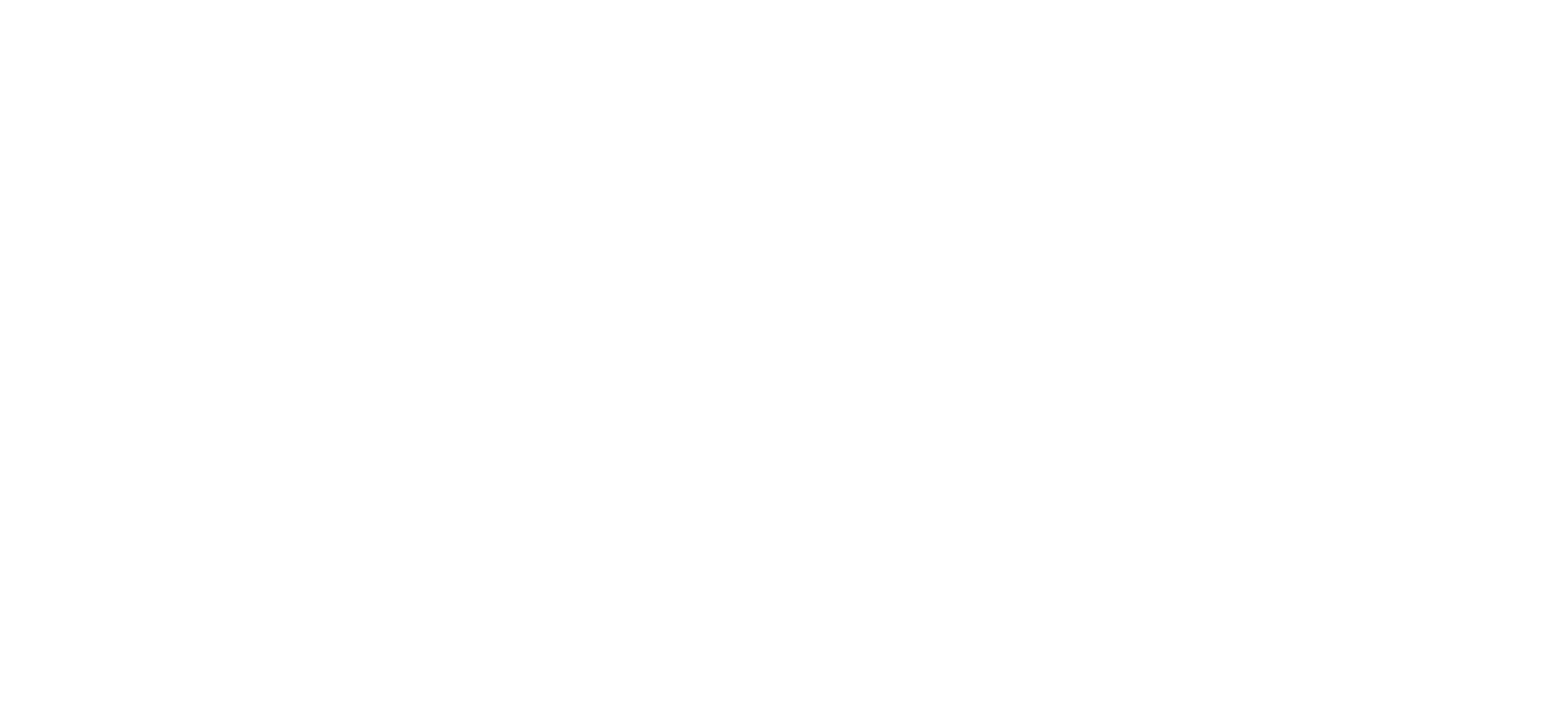 VS Travel (Logo)_footer